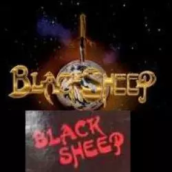 Black Sheep