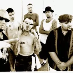 L.U.N.G.S.