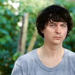 Panda Bear
