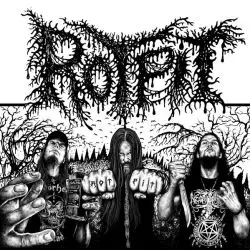Rotpit