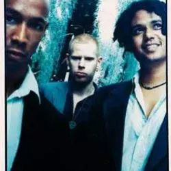Seeed