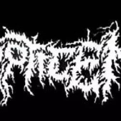 Septicemia