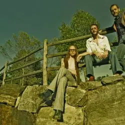 The Golden Grass