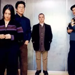 The Magnetic Fields