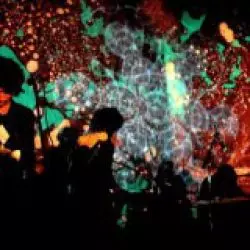 The Oscillation
