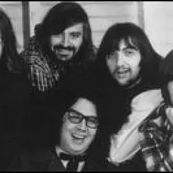 The Turtles