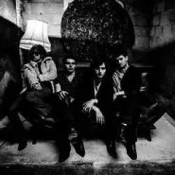The Velvet Hands