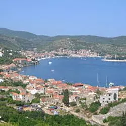 Vis