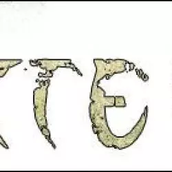 Whyte Ash