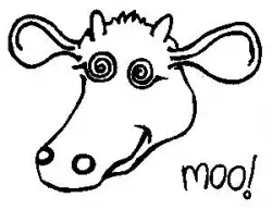 Cow