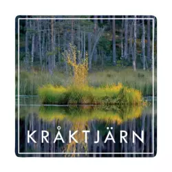 Kråktjärn