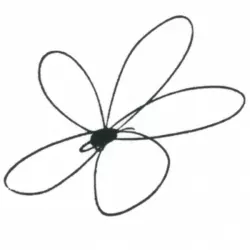The Flower Shop Recordings