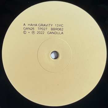 LP 13 Year Cicada: Haha Gravity