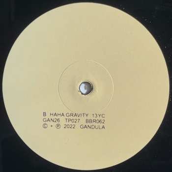 LP 13 Year Cicada: Haha Gravity