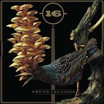 CD 16: Dream Squasher
