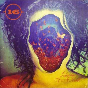 CD 16: Lifespan Of A Moth