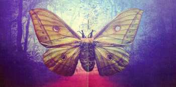 CD 16: Lifespan Of A Moth