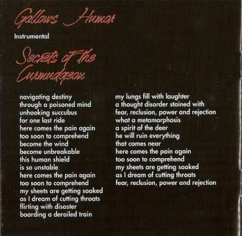 CD 16: Lifespan Of A Moth