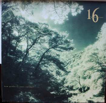 LP 16 Tambourines: How Green Is Your Valley ?