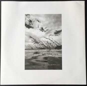 LP 3TM: Lake CLR