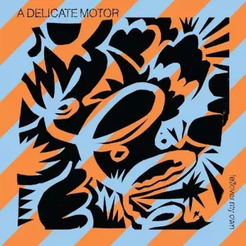 A Delicate Motor: Fellover My Own