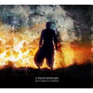 CD A Liquid Landscape: Nightingale Express DIGI