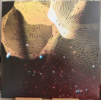 LP A Place To Bury Strangers: See Through You 
