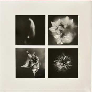 2LP A Swarm Of The Sun: An Empire CLR | LTD