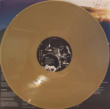 LP Abramis Brama: Nothing Changes LTD | CLR