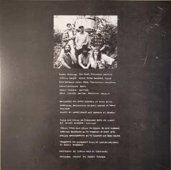 LP Abronia: Shapes Unravel