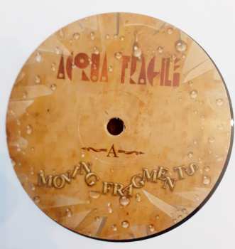 LP Acqua Fragile: Moving Fragments