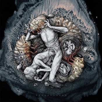 LP Across The Swarm: Projections