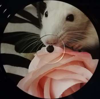 LP Slaves: Acts Of Fear And Love