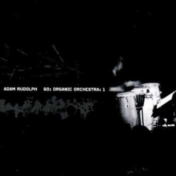 Album Adam Rudolph: Go: Organic Orchestra: 1