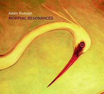 Album Adam Rudolph: Morphic Resonances
