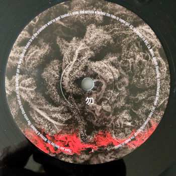 LP Adrian Michna: Thousand Thursday 