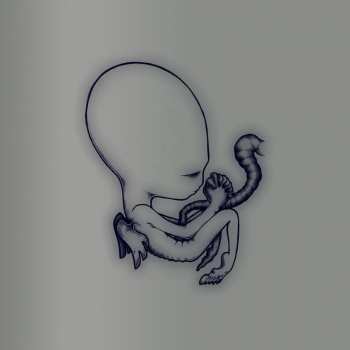 4CD/Box Set Sigur Rós: Ágætis Byrjun (A Good Beginning) DLX