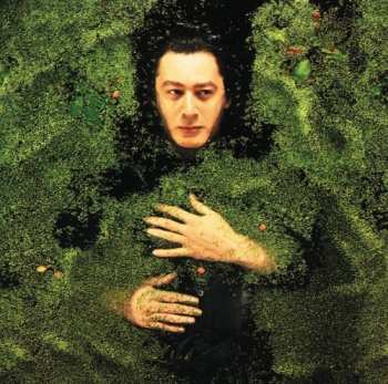 Album Alain Bashung: Fantaisie Militiare