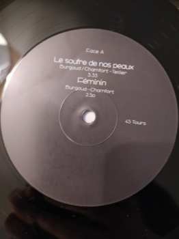 LP Alain Chamfort: Alain Chamfort Produit Par Sébastien Tellier