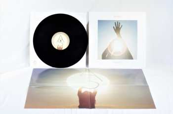LP Alcest: Shelter Vinyl Box