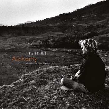 Album David Sylvian: Alchemy - An Index Of Possibilities