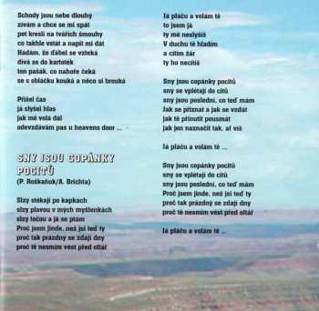 CD Aleš Brichta: American Bull