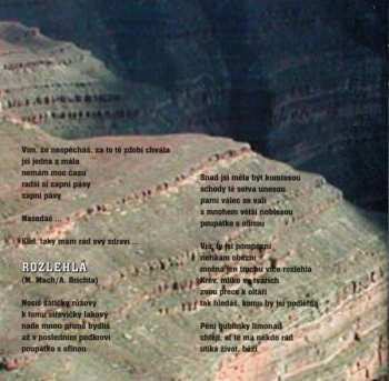 CD Aleš Brichta: American Bull