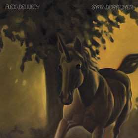 CD Alex Delivery: Star Destroyer