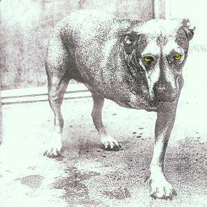 CD Alice In Chains: Alice in Chains