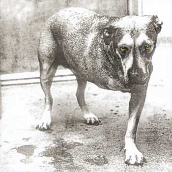 CD Alice In Chains: Alice In Chains