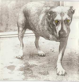 CD Alice In Chains: Alice in Chains