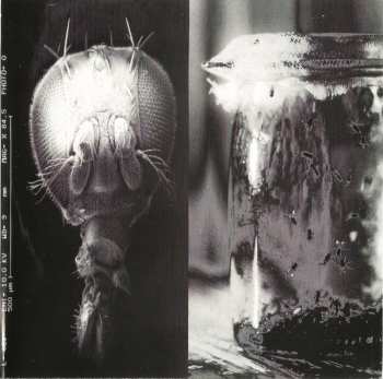 CD Alice In Chains: Jar Of Flies