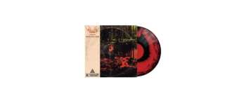 LP Alluvial: Death Is But A Door CLR | LTD