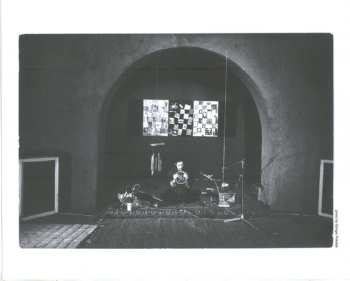 LP Alvin Curran: Canti E Vedute Del Giardino Magnetico (Songs And Views From The Magnetic Garden)